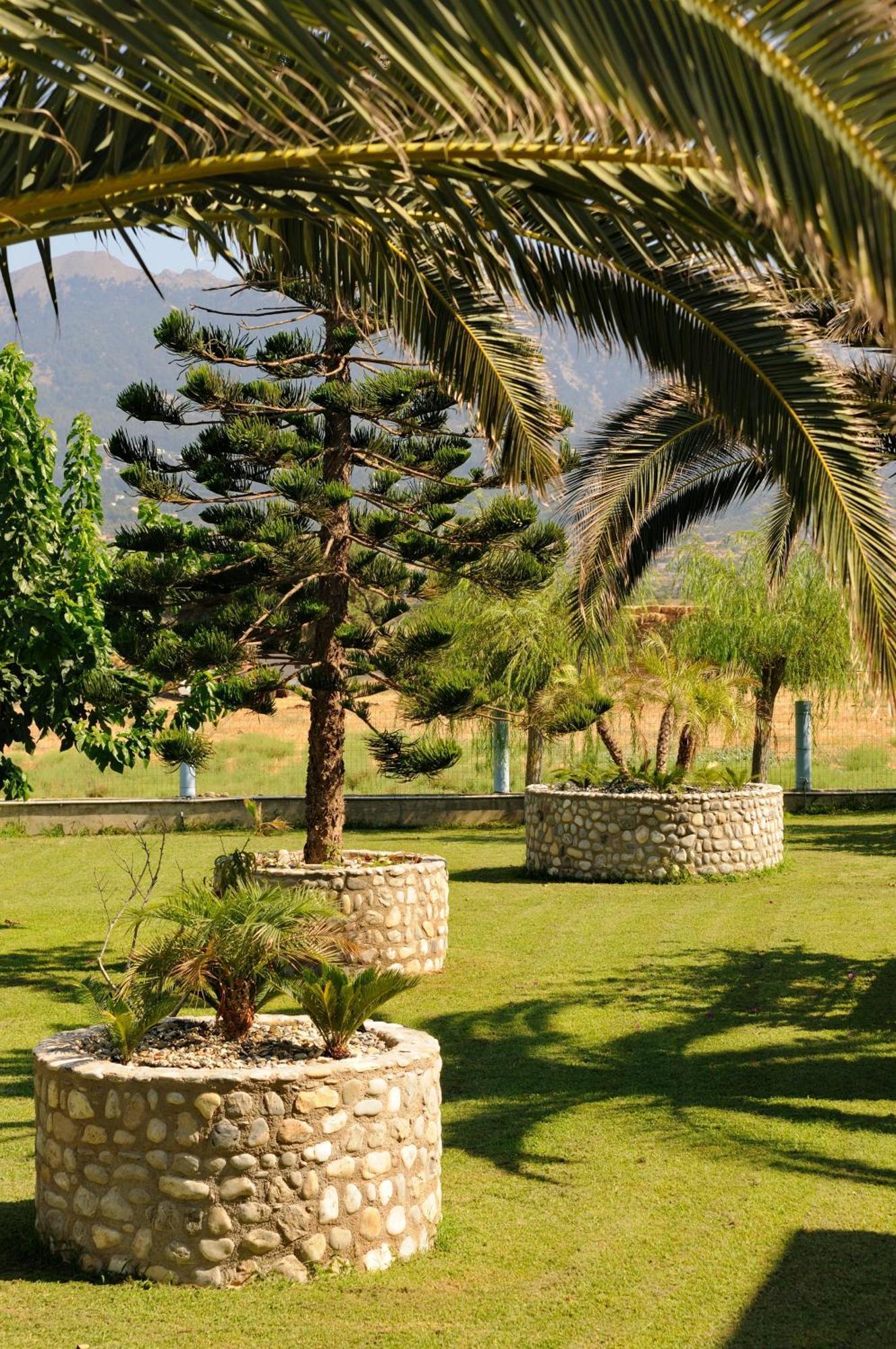 Tigaki Akti Dimis Hotel المظهر الخارجي الصورة
